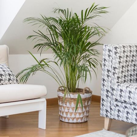 Apartamento Boutique Con Terraza Y Vistas Al Mar. Porto Vilanova Вильянуэва-де-Ароса Экстерьер фото